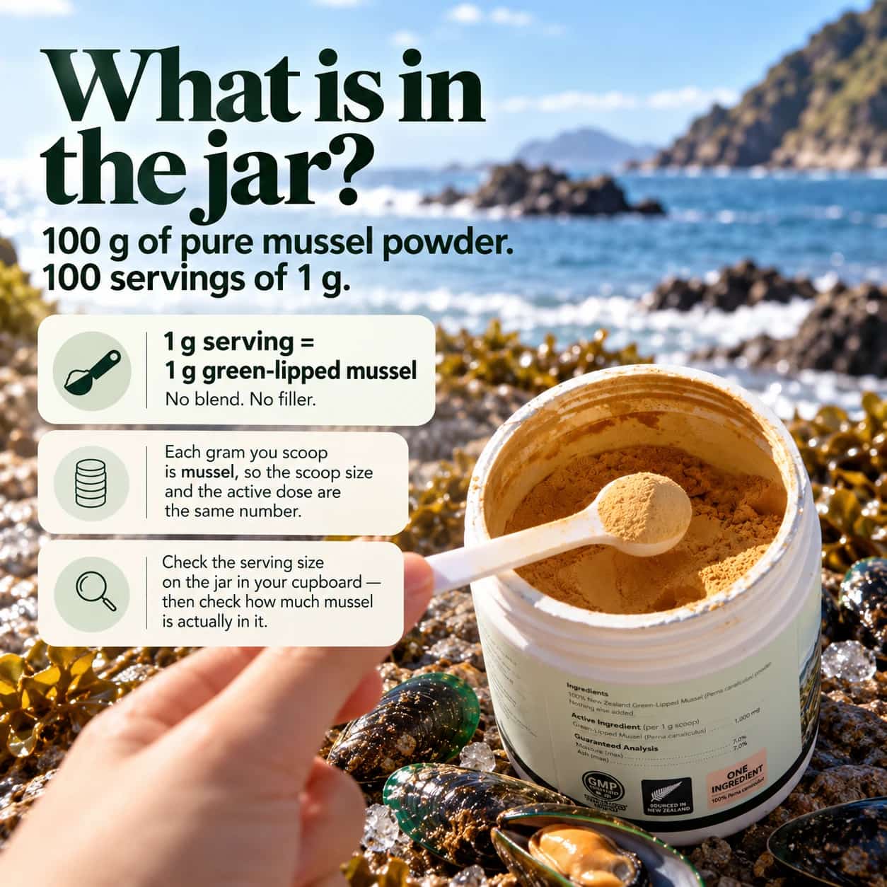 Dogevera 100% New Zealand Green-Lipped Mussel Powder for Dogs thumbnail 3