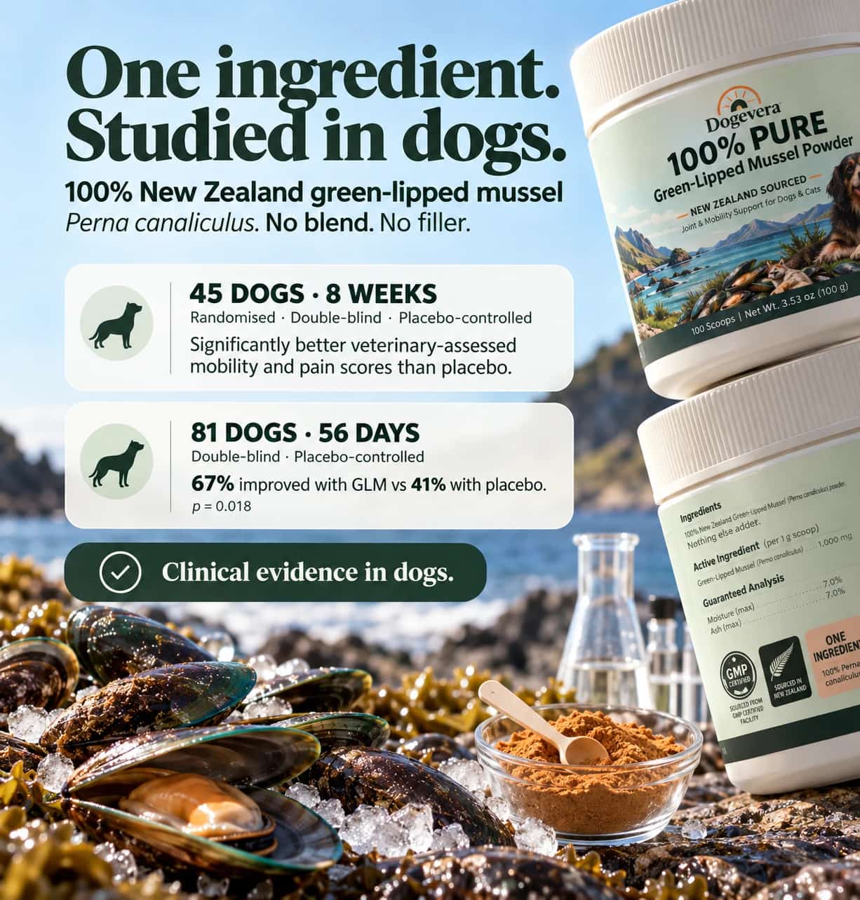 Dogevera 100% New Zealand Green-Lipped Mussel Powder for Dogs thumbnail 5