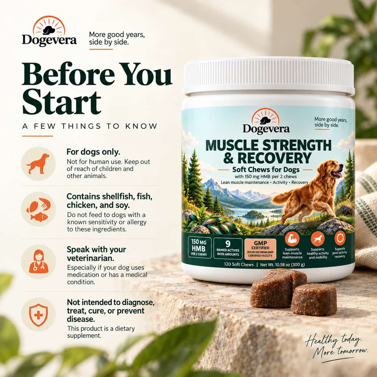 Dogevera Muscle Strength & Recovery Soft Chews for Dogs thumbnail 5